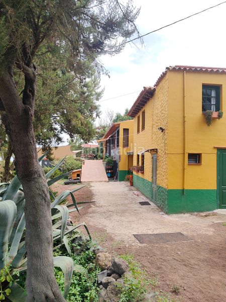 Foto 6486f2d2-dd22-420c-8cf0-9716ce923300. Masia amb aparcament piscina a Palo Blanco Realejos (Los)
