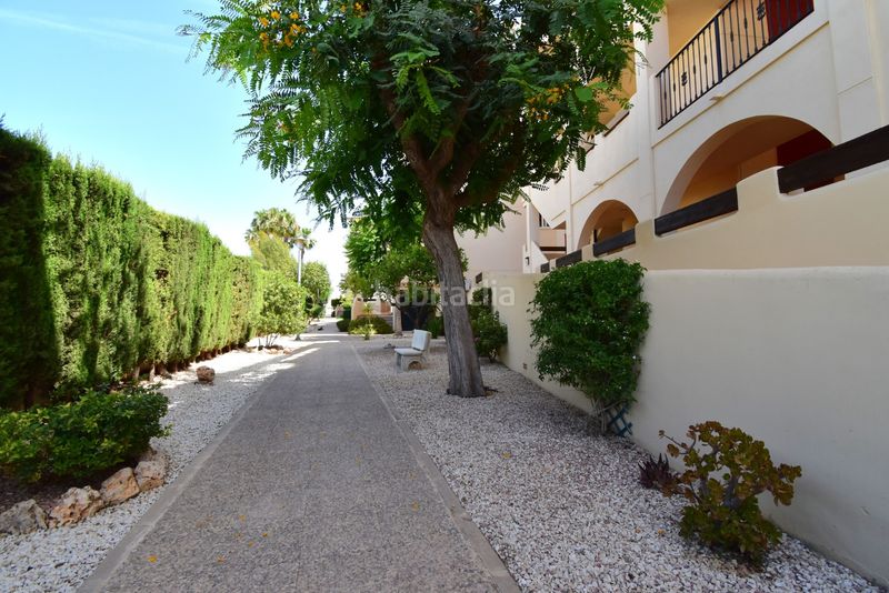 Foto 9201694e-5be1-4757-9ed2-90a291e8bf03. Apartament amb aparcament a Playa Flamenca Orihuela