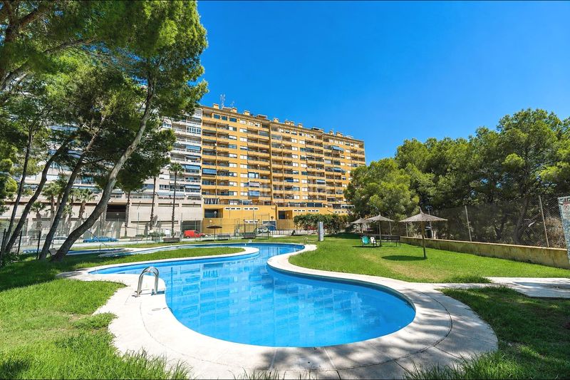 Foto 3df3c9b2-fc10-45a0-ab40-db74c1e72a2f. Apartament amb piscina a Campoamor Orihuela