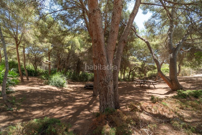 Foto 5e7d09be-f224-4efd-a7fa-e340cdd8287a. Apartament amb piscina a Campoamor Orihuela