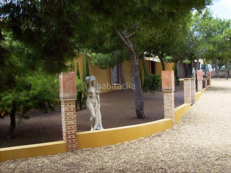 Foto 9b25a628-3244-4d59-a86b-89274e2fa763. Masia amb piscina a Lo Pepín Rojales