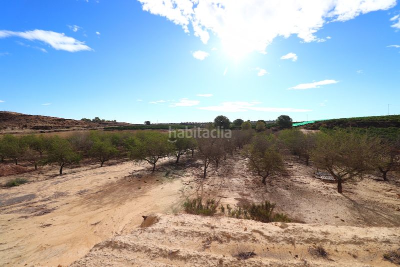 Foto d291519b-20bd-4247-a1f4-a4579ebf39fd. Terreny residencial a Desamparados - Hurchillo - Torremendo Orihuela