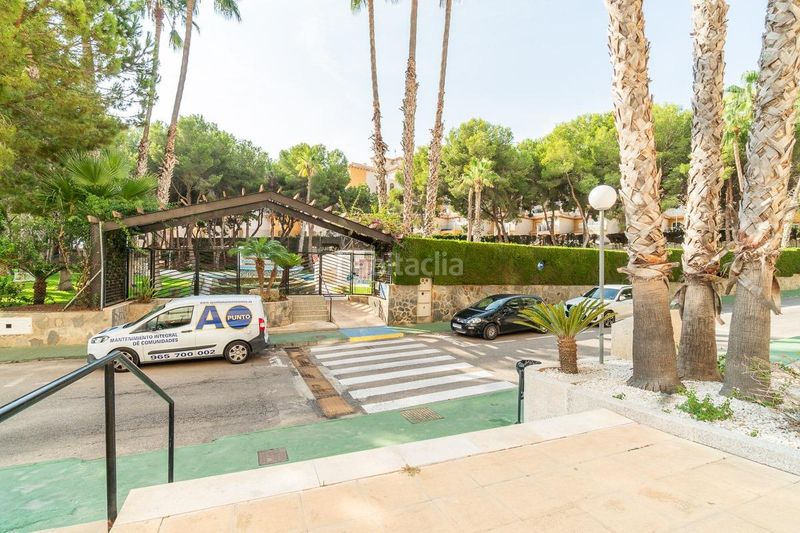 Foto 15189703-71a7-4378-9786-b033789b0f4f. Apartament amb piscina a Campoamor Orihuela