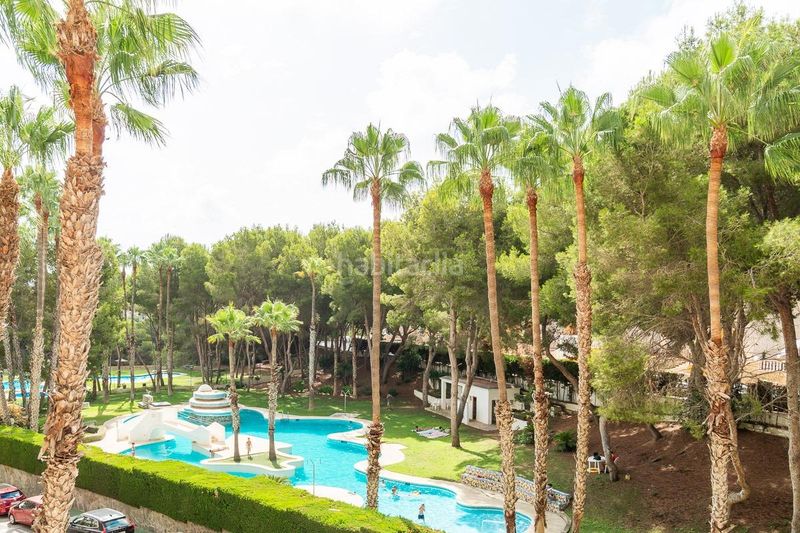 Foto 3ea41b67-6cf3-4aff-b66a-3eeb62318570. Apartament amb piscina a Campoamor Orihuela