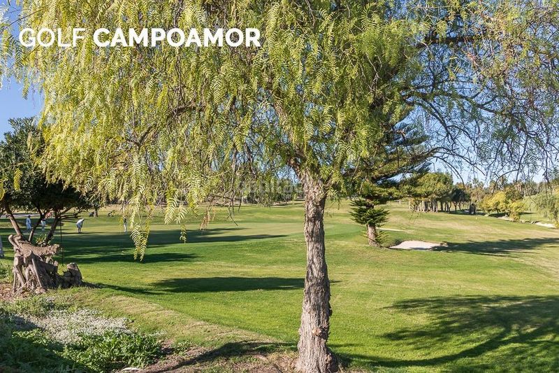 Foto 57849465-8c1a-4764-b64b-daaa296569fb. Apartament amb piscina a Campoamor Orihuela