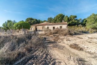 Terreno residenziale in El Pinar de Campoverde