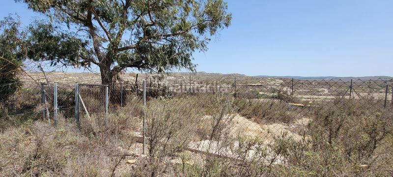 Foto 0e6877b7-5842-4939-b5b7-de1bc20f4b2d. Masia a Desamparados - Hurchillo - Torremendo Orihuela