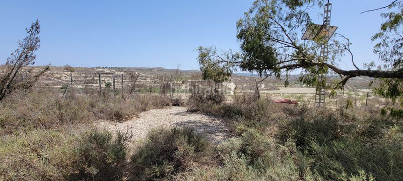 Foto f1c602dd-bc2c-4171-bbda-b81271e227df. Masia a Desamparados - Hurchillo - Torremendo Orihuela