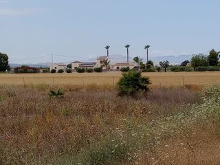Terreno residenziale in Formentera del Segura
