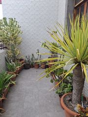 Casa en Calle Cruz del Ovejero