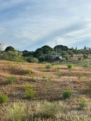Landgut in Arcos de la Frontera