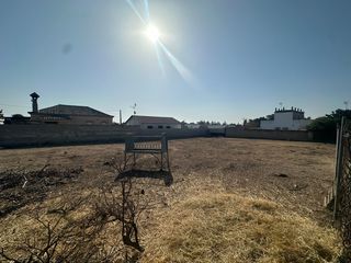 Rural plot in Los Franceses - La Vega