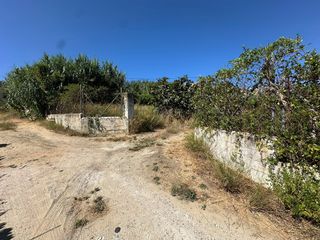 Finca rústica a Los Franceses - La Vega