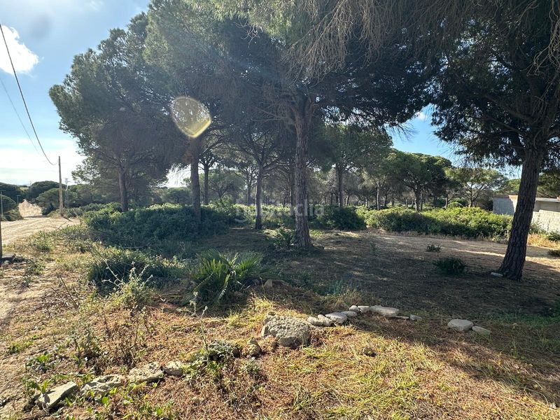Foto a25f9a0c-56d2-4029-b111-bed0c1c5b369. Finca rústica a Las Lagunas - Campano Chiclana de la Frontera