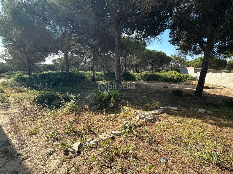 Foto dcf0dd3a-922e-49fe-ae7f-7c040e7f0416. Finca rústica a Las Lagunas - Campano Chiclana de la Frontera