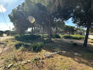 Finca rústica a Las Lagunas - Campano