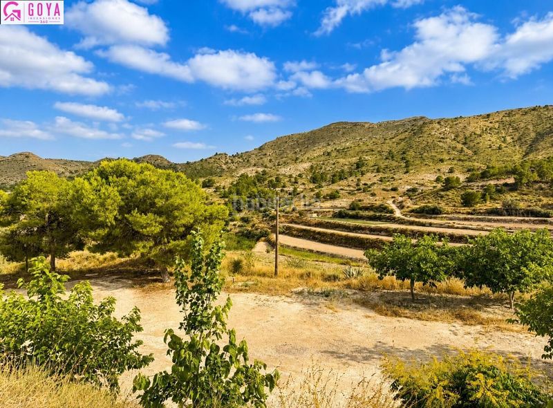 Foto ce0ee342-c096-40f9-a4d8-7f0d9a1a32aa. Masia amb aparcament a Xixona