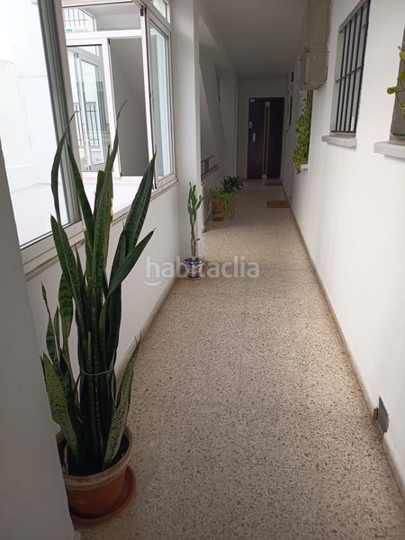Foto 0a1f24f9-495d-4c51-a4e6-da3b87801210. Pis amb calefacció a Triana Casco Antiguo Sevilla