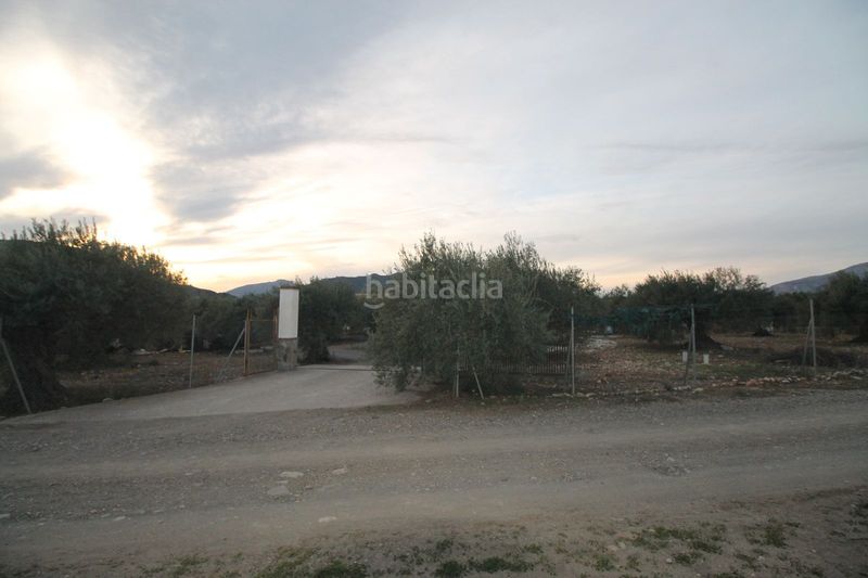 Foto 04c7c9ff-ab53-4a7e-b146-284db2801bb6. Terreny residencial a Álora