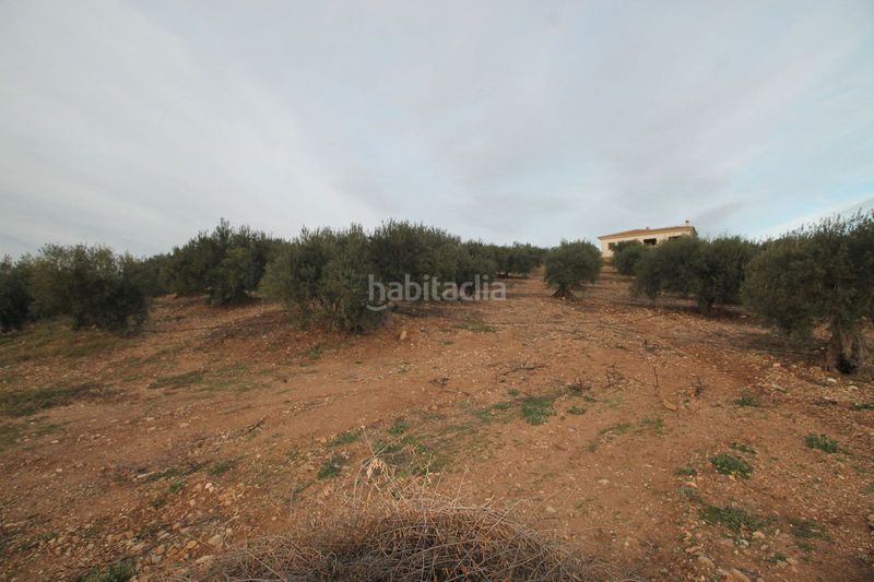 Foto 324e513f-e021-4266-a96a-dee8e3825d77. Terreny residencial a Álora