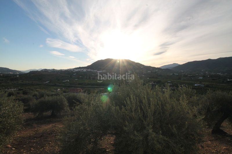 Foto 8485c771-86c3-4bc7-93f2-db4d83d9ad91. Terreny residencial a Álora