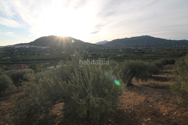 Foto b51a17b0-ff1d-454a-a379-bbf05033d060. Terreny residencial a Álora