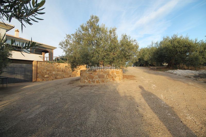 Foto 3a115aa7-f69c-48d5-94a7-20cb35ab17d0. Terreny residencial a Álora