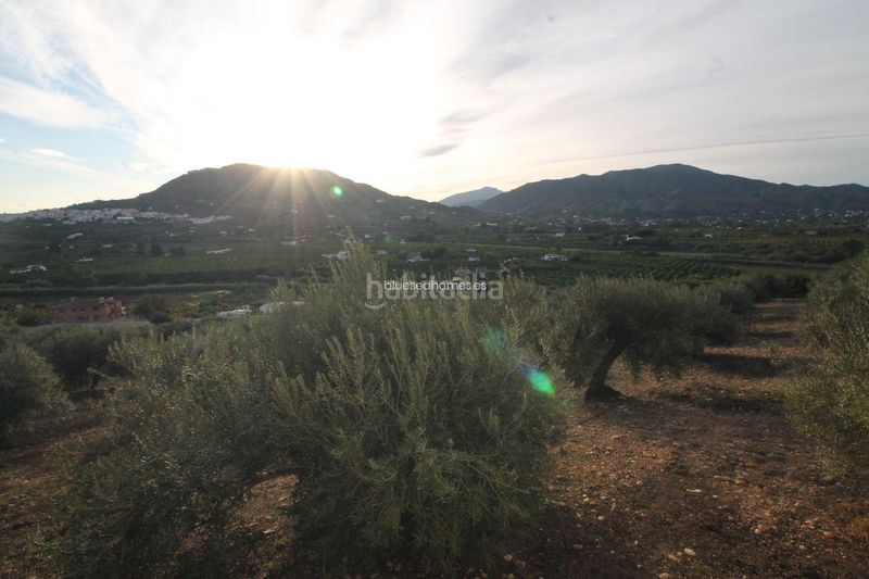 Foto aca19020-0760-4a4a-97f4-518a3f8a05f4. Terreny residencial a Álora