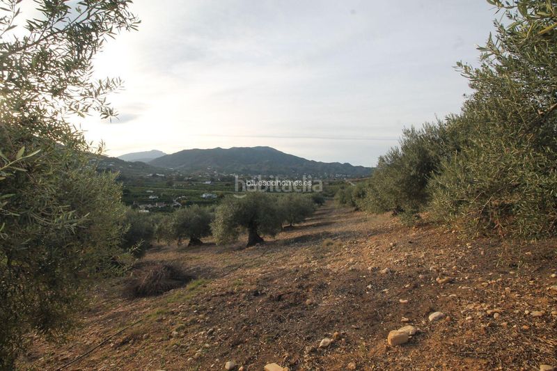 Foto c7394d27-eb17-4b0c-9231-f15ff9935ebf. Terreny residencial a Álora