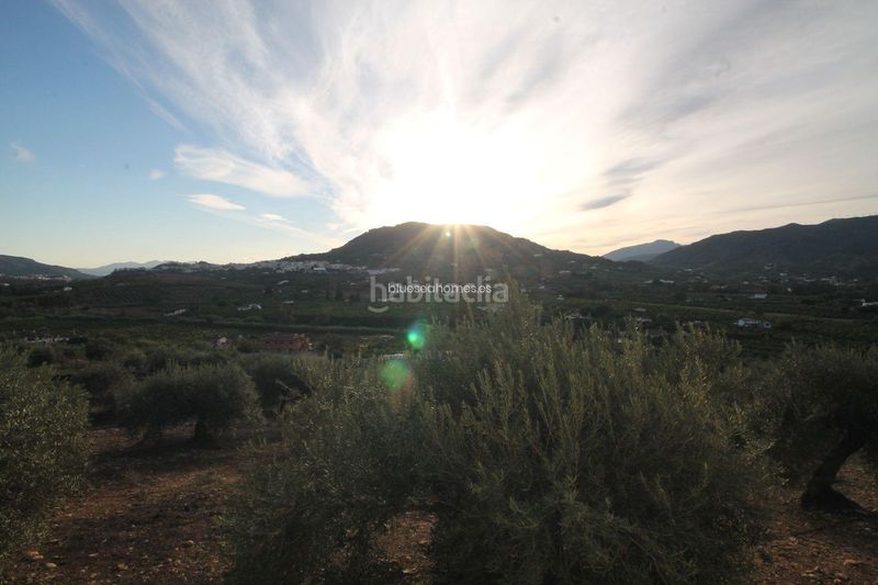 Foto f873fc5a-0512-4a18-81b6-f22f69cbdf92. Terreny residencial a Álora