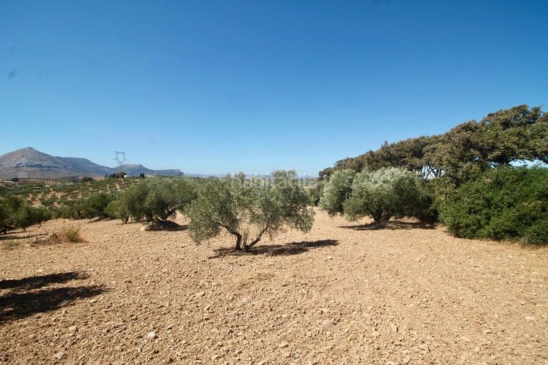 Foto c7dd2a15-aaec-4323-8f9a-5748e41bd225. Casale con parcheggio in Bobadilla - Bobadilla Estación - La Joya Antequera