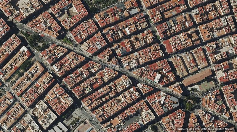 Foto 6d0fb885-2698-4fbf-8e15-173117be3765. Pis a Carrús Este Elche / Elx
