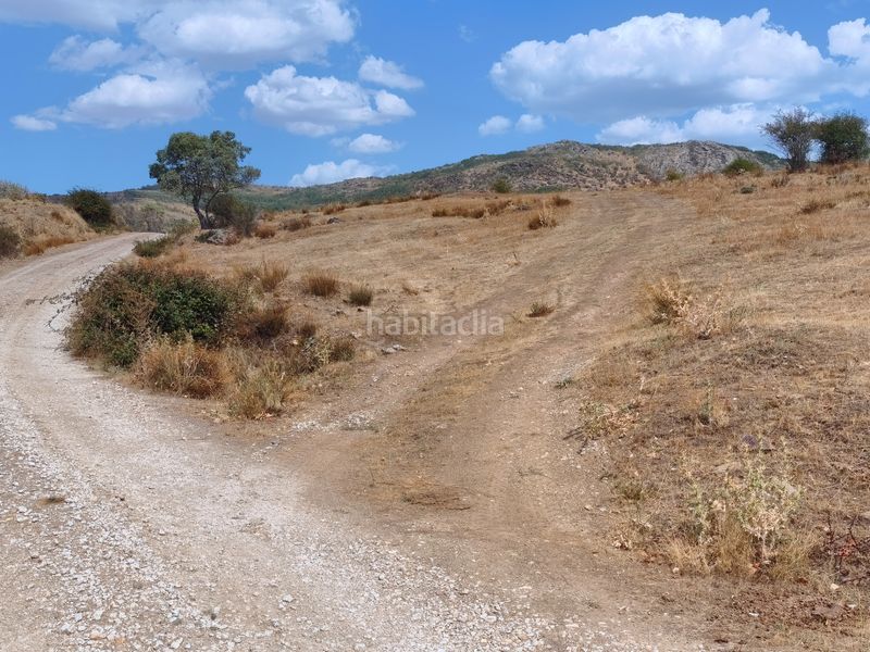 Foto 404cf1b2-ce21-4f58-8f4e-29c8cdd87df7. Finca rústica a travesía de san mateo 25 a Madarcos