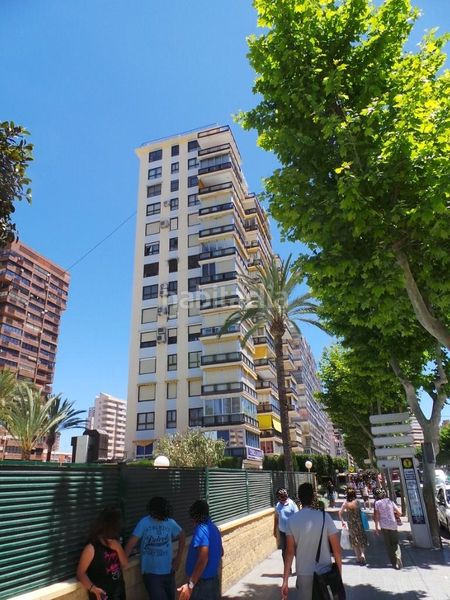 Foto 8f1bd1c9-a212-4b60-8f2f-110e86f01158. Pis a Playa Levante Benidorm