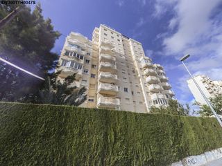 Piso  Calle joven pura. Vivienda en venta en torrevieja