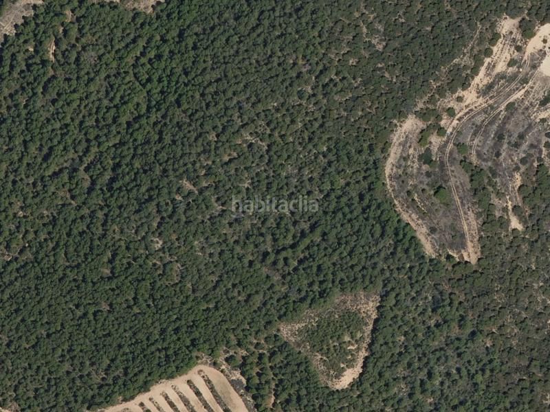 Foto dd2452e9-ab2d-4e35-a3dd-22394fb93f55. Pis a Valderrobres