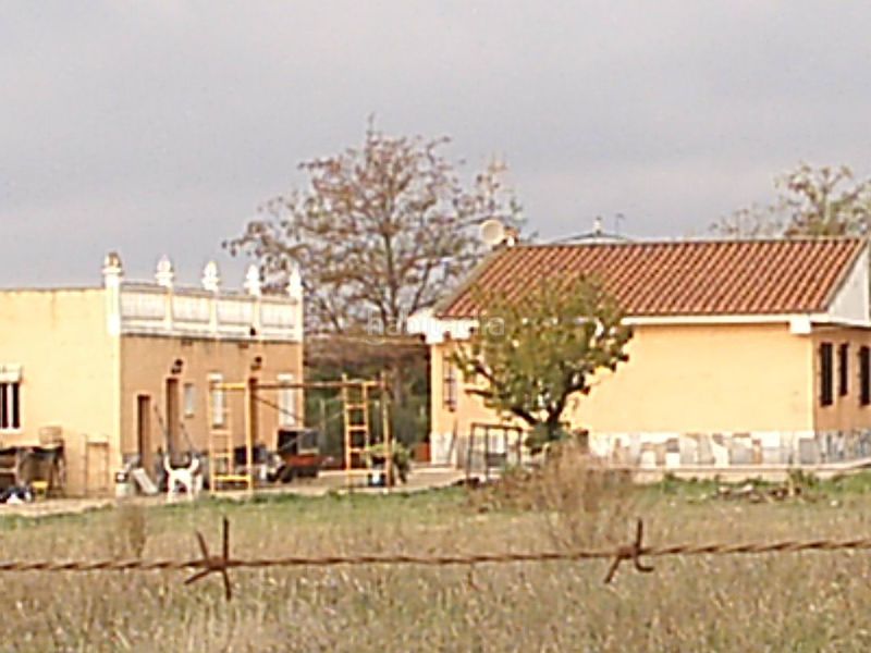 Foto 094c6aad-8959-4826-b0b6-71a79d52f06f. Pis a Dehesilla de Calamón - Campomanes Badajoz