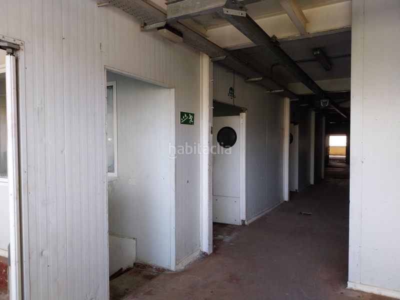 Foto bd375084-143f-44a9-8e17-819e823f6631. Capannone industriale in Zorrotza Bilbao