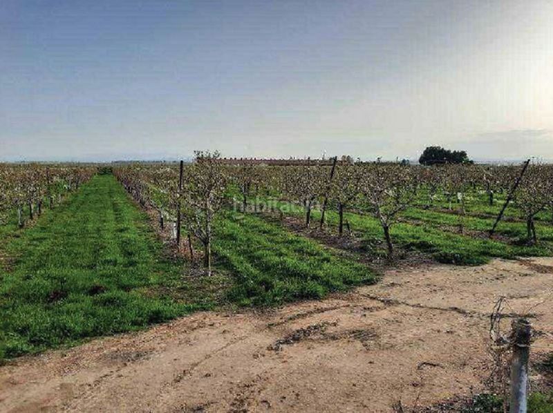 Foto a371ecc3-8f29-492e-b127-eac71ec43dcf. Finca rústica a fenojal 0 a Alfaro