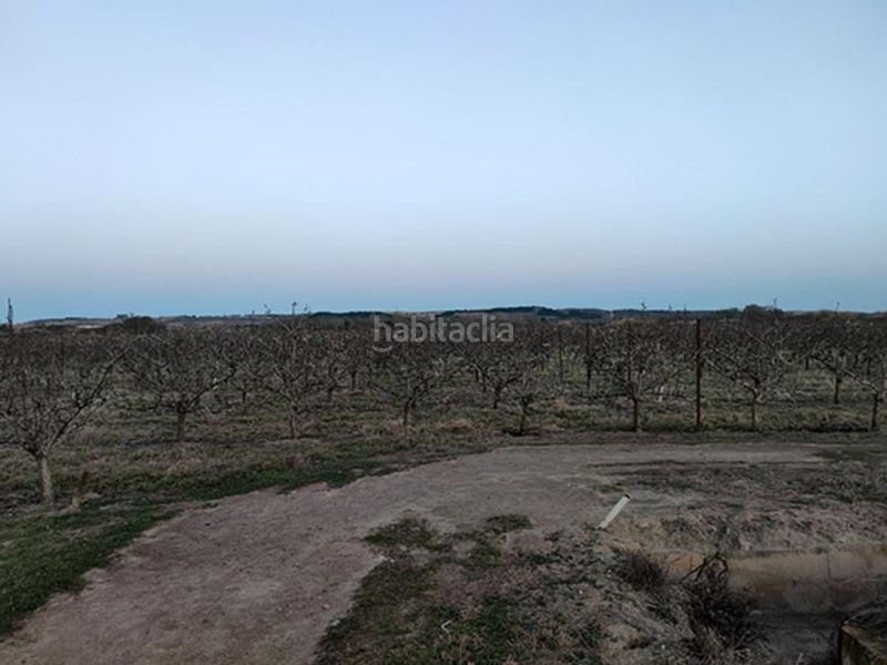 Foto 3aab5246-afb0-4b65-862d-b7fa2ce26aa0. Finca rústica en fenojal 0 en Alfaro