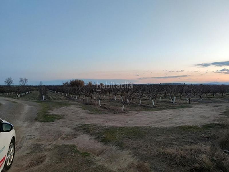 Foto 58c37382-3554-4e8b-b770-249aceb907eb. Finca rústica en fenojal 0 en Alfaro