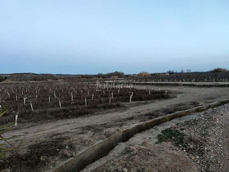 Foto 86c1afb6-9943-4a6f-bb9e-e9d0c9135037. Finca rústica en fenojal 0 en Alfaro