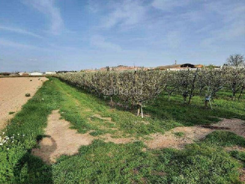 Foto c80fd1ad-2186-4bdd-9e07-694409cafac3. Finca rústica en fenojal 0 en Alfaro