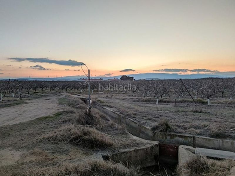 Foto e7eee72a-0be4-47ca-abf9-e1bd3cc4e02c. Finca rústica en fenojal 0 en Alfaro