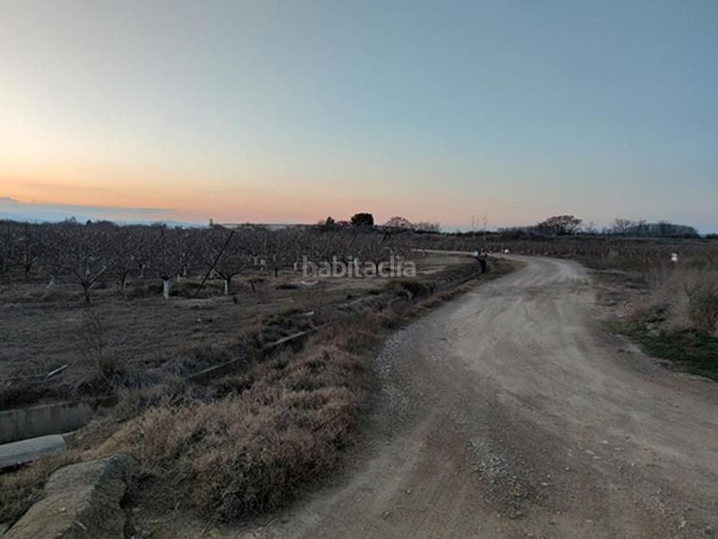 Foto e998d7ef-d9e8-4879-9a78-7df2aba57b52. Finca rústica en fenojal 0 en Alfaro