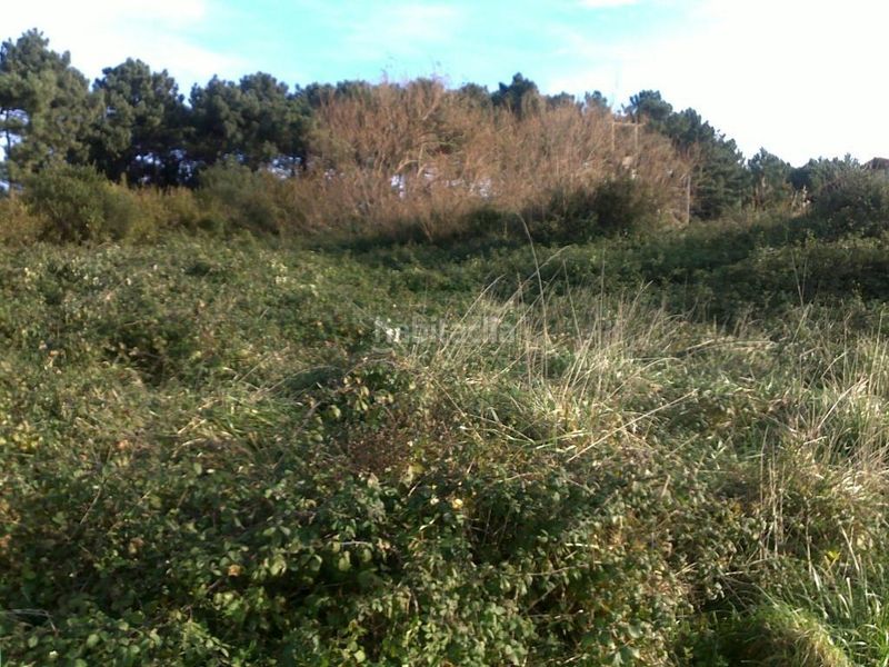Foto fa7f0748-9b98-408f-9e96-596634af4e7c. Terreny residencial a santa maría de Getxo Getxo