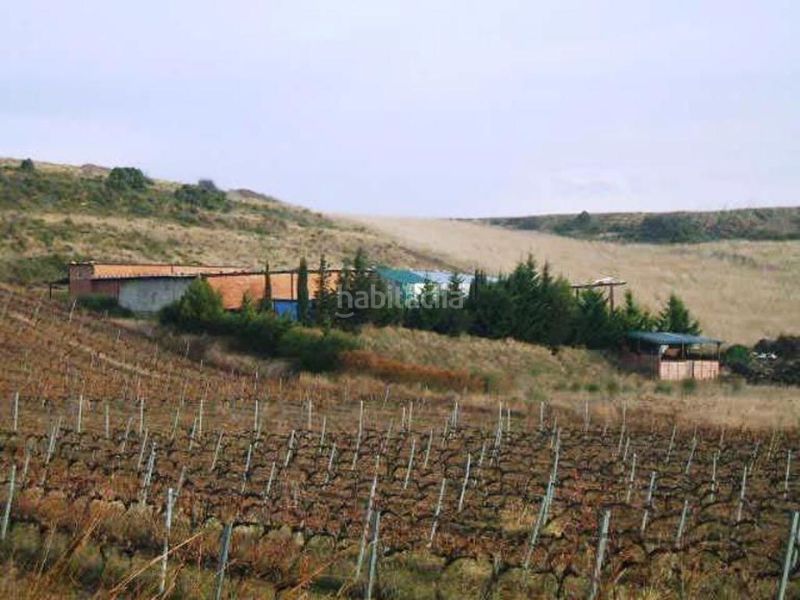 Foto 6999a866-b422-43d4-8a0b-dcc866f87b91. Finca rústica a el gancho sn a Laguardia