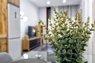 Rent Studio in Poniente-Norte - Miralbaida - Parque Azahara. Loft de reciente construcción, amueblado y equipado  625 mes