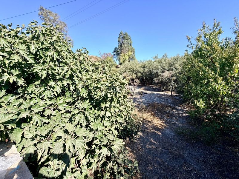 Foto 00b99974-6e6f-4ff8-bb51-36365b54b2c6. Masía cortijo reformado con construcción legalizada y 2.590 m2 de parcela, a 10 min de almería en Pechina