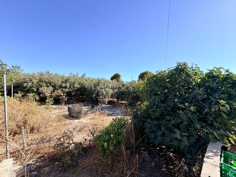 Foto 26bc2fc9-e365-4fa3-ba63-7d53015bf0d8. Masía cortijo reformado con construcción legalizada y 2.590 m2 de parcela, a 10 min de almería en Pechina